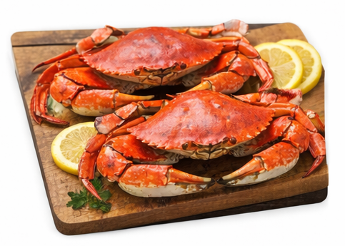 Crab