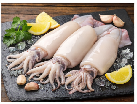 Squid