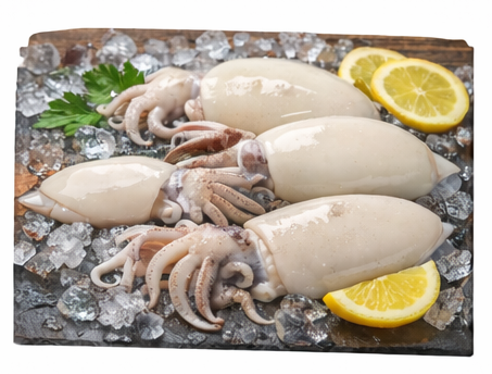 Cuttlefish